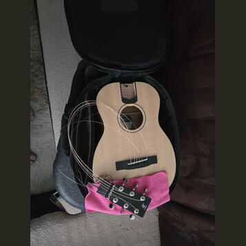 Furch Little Jane 10SM