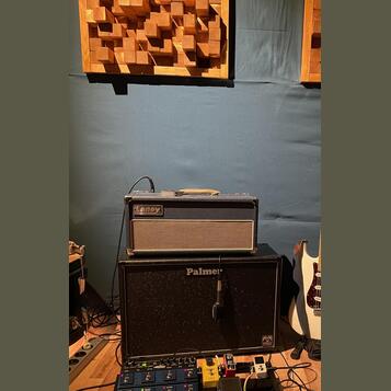 Laney Lionheart L20H + Palmer reprobox + custom hard case