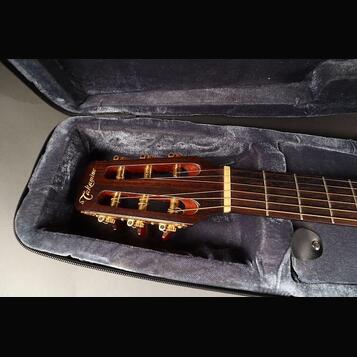 Takamine DSF 65 C Santa Fe