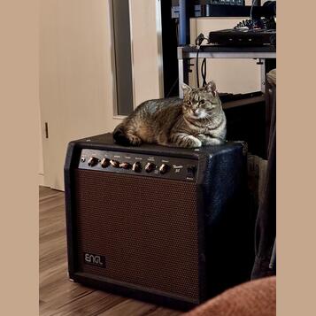 ENGL Thunder 50 RARE first edition