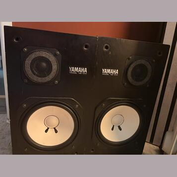 Yamaha NS-10m