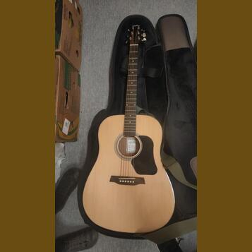 Walden Guitars