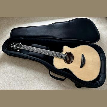 Yamaha APX 700 II NT