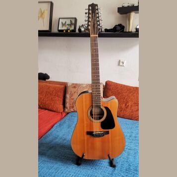 TAKAMINE GD30CE 12 str.