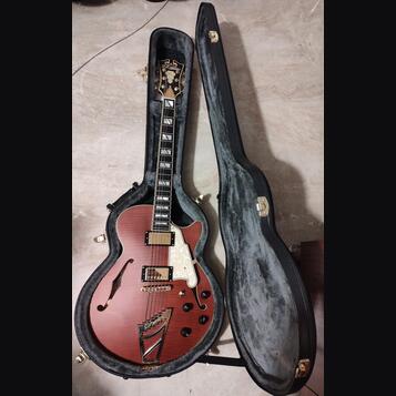 D'Angelico Deluxe DLX SSTP Semi-Hollow Single Cutaway