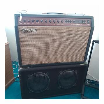 YAMAHA DG100