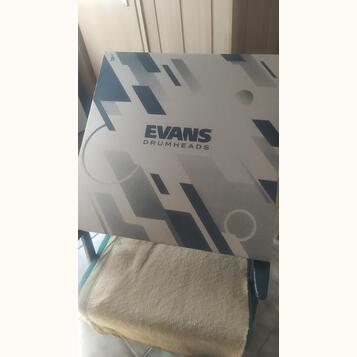 Evans 22" EQ3 Resonant Black