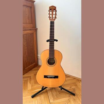 Fender ESC 80 3/4