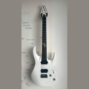 Washburn PX-Solar 160WHM 