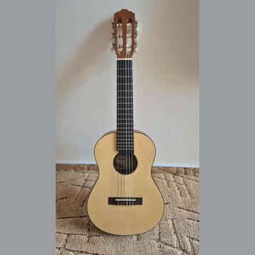 Salvador Cortez TC-460