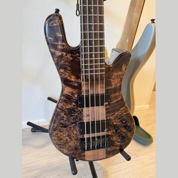 Spector NS Ethos 5 Super Faded Black Gloss