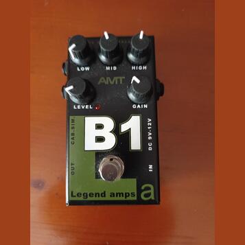 AMT B1 Legend amps 