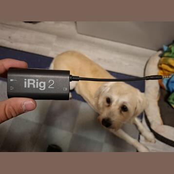iRig 2