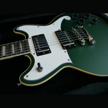 D'Angelico Premier Brighton Sherwood Green