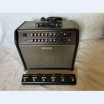 Boss Acoustic Singer Pro