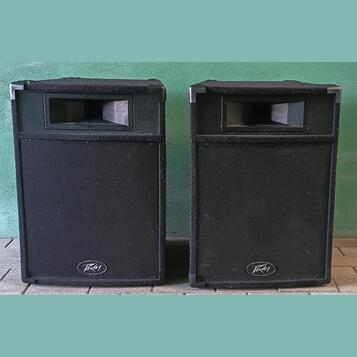 Peavey PRO15