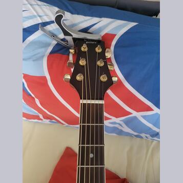 Carlos guitars ag 40
