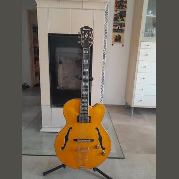 Ibanez pm 2aa