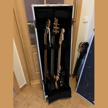 Warwick flight na 3 basy 