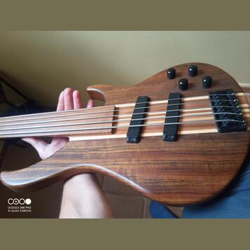 Harley Benton fretless