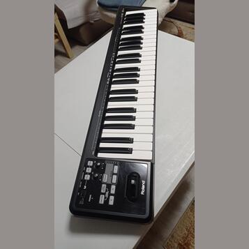 Roland A-49