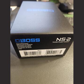 Boss NS2