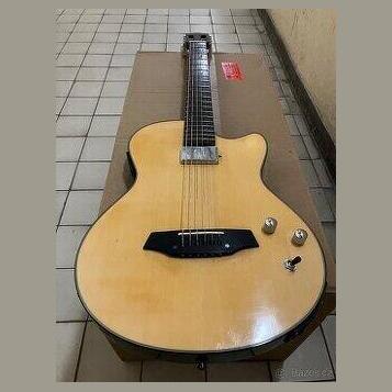 Kytara Angel Lopez(Stagg) piezo+humbucker