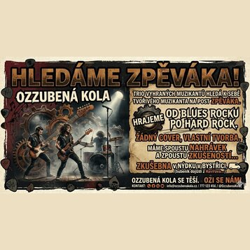 Hledáme zpěváka