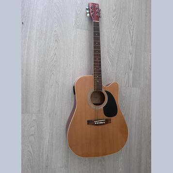 Elektroakustická kytara M. Parker W-8E/NAT