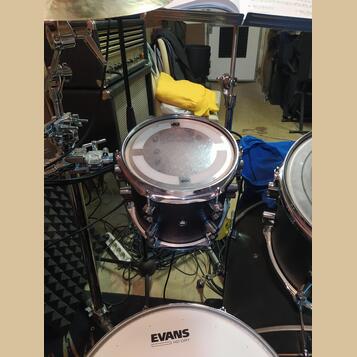 Tomtom 8" PDP by DW Collectors Maple Shell