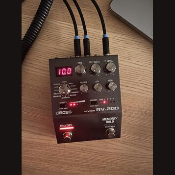 Boss RV-200