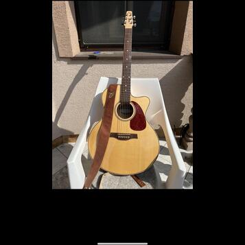 Seagull Performer CW Mini Jumbo HG Presys II