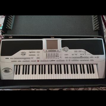Korg pa 1x 