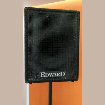 2x reprobox Edward 250W RMS