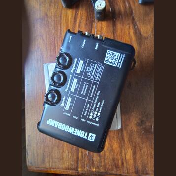 ToneWoodAmp
