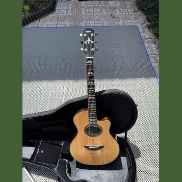 Yamaha APX 1200II NT