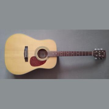 Kytara Cort Earth 70 NS s obalem Ritter RCG300D