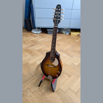 Akustická kytara s hnědým sunburst povrchem těla a černou hlavou. Na hlavě je bílý nápis "Seagull" a logo s ptačím profilem. Nástroj stojí na černém…