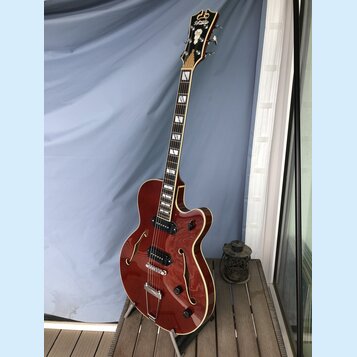 Polodupatá elektrická kytara v červeně hnědé barvě s krémovým lemováním. Na hlavě hmatníku je bílý nápis "Gretsch". Nástroj má dva snímače, dva ovlád…