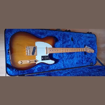 Elektrická kytara s t bodies v barevném přechodu od žluté po tmavě hnědou, umístěná v modrém polstrovaném kufru. Nástroj má bílý pickguard, zlaté har…
