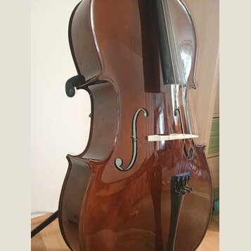 Detailní pohled na hnědý lakovaný smyčcový nástroj, pravděpodobně violoncello. Na těle jsou vidět dvě f-otvory a bílý kobylík, přes který vedou čtyři…