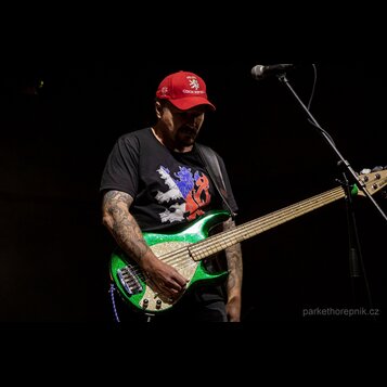 Fotografie zachycuje muže s basovou kytarou v zeleném třpytivém provedení. Nástroj má světlý hmatník a bílý plech s nápisem "Music Man". V pravém dol…