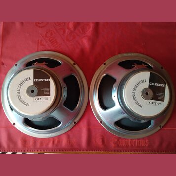 Dvě stejné reproduktorové jednotky s kovovým rámem a bílými středovými štítky. Na štítcích je uveden nápis PROFESSIONAL LOUDSPEAKER, značka CELESTION…