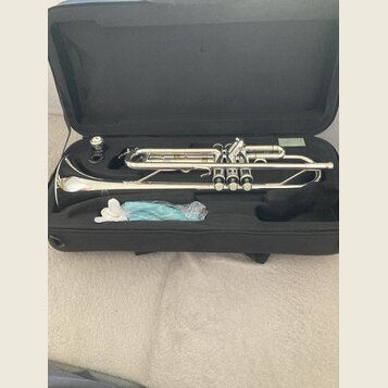 Stříbrný mosazný nástroj typu flugelhorn v černém kufru. Na nástroji nejsou viditelná žádná loga ani nápisy. Součástí je potrubí, tři ventily a modrý…