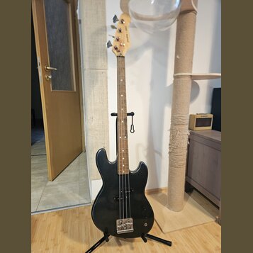 Jolana Proxima Bass