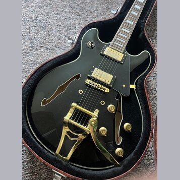 Černá polodupová elektrická kytara s gold hardwarem v hnědém tvrdém pouzdře. Nástroj má dva humbuckery, zlatý Bigsby vibrato systém a čtyři ovládací…