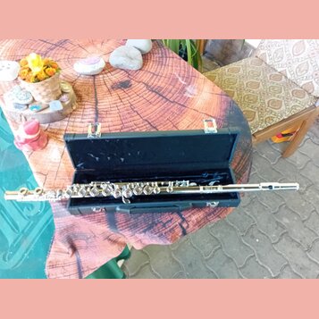 Stříbrná flétna položená v otevřeném černém tvrdém kufru. Na těle nástroje není vidět žádný značka ani model. Povrch flétny je lesklý, kufřík má dvě…