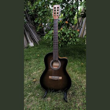 Akustická kytara s tmavě hnědým přechodovým povrchem (sunburst) a vyřezem v korpusu. Na hlavě hmatníku je nápis Carl a uvnitř ozvučnice je vidět štít…