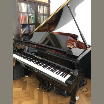 Černý křídlový klavír s vysokým leskem a dřevěným vnitřním povrchem. Nad klávesnicí je zlatý nápis "Wendel Lung". Nástroj stojí na dřevěné parketové…