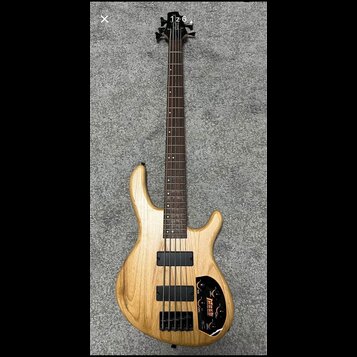 Pětstrunná basová kytara s přírodním dřevěným povrchem těla a hmatníkem z tmavého dřeva. Na hlavě nástroje je vidět logo "Ibanez". Tělo obsahuje dva…